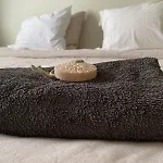 Guest house Slapen Bij Uppruna 4*