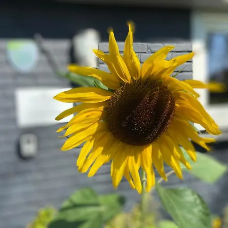 Slapen Bij Uppruna Maison d'hôtes Chaam