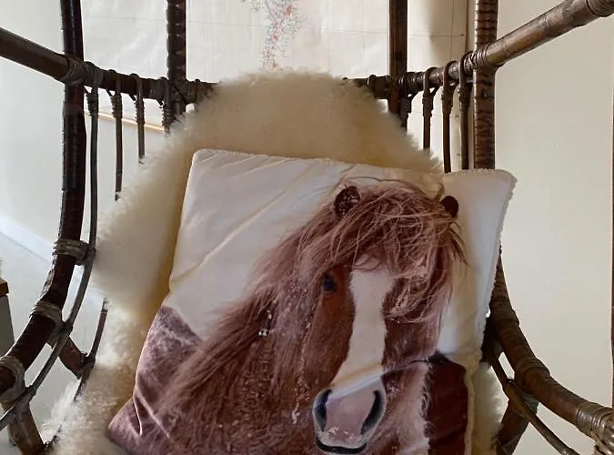 Slapen Bij Uppruna Pensionat 4*