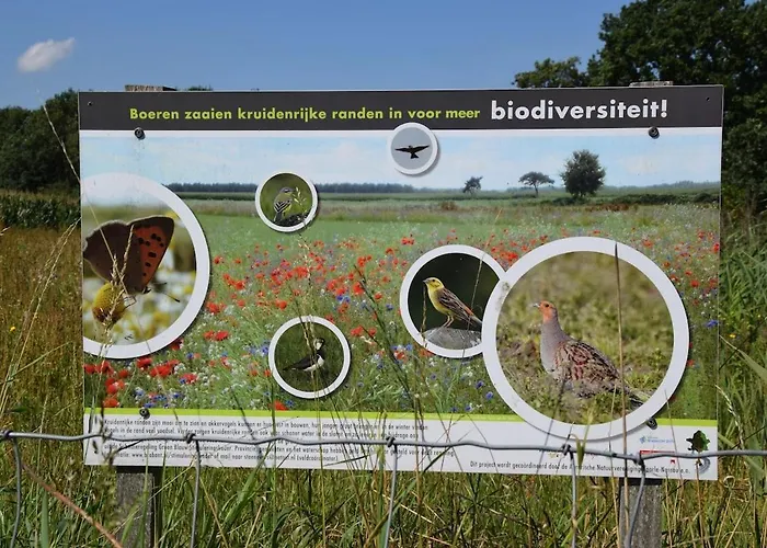 Pensionat Slapen Bij Uppruna 4*