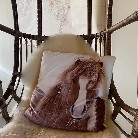 Slapen Bij Uppruna Гостевой дом 4*