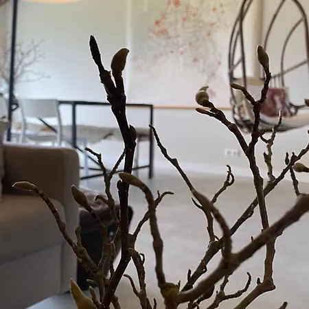 Slapen Bij Uppruna Гостевой дом Chaam