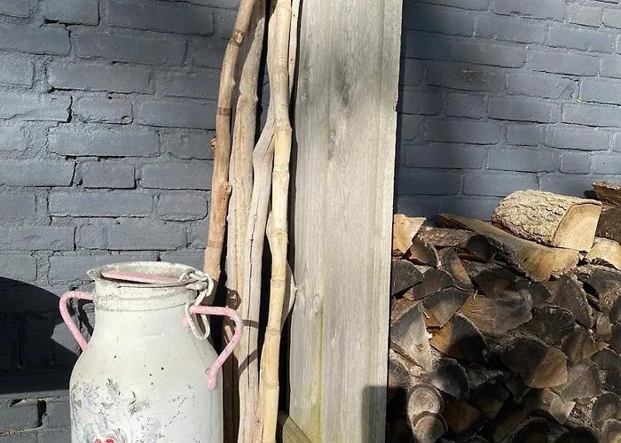 Slapen Bij Uppruna Chaam